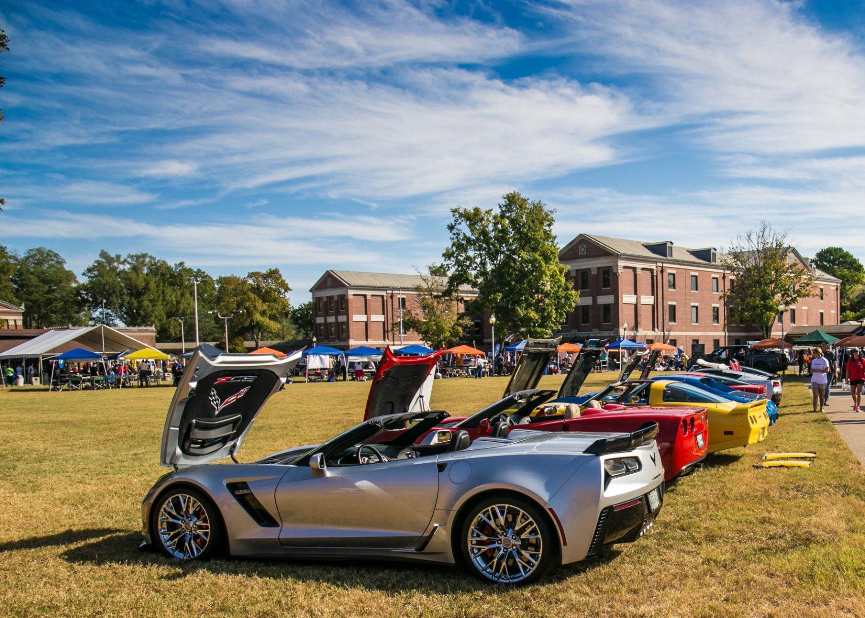 corvette 2.jpg